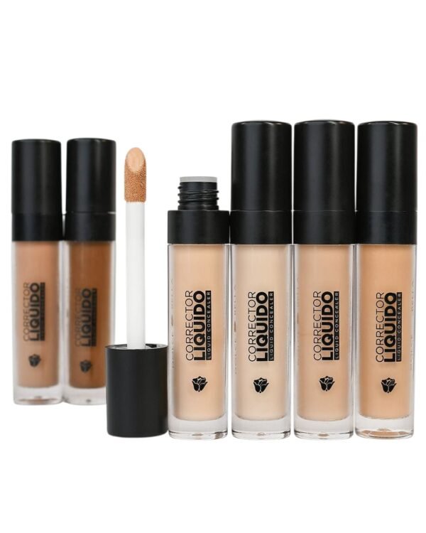 Corrector Liquido
